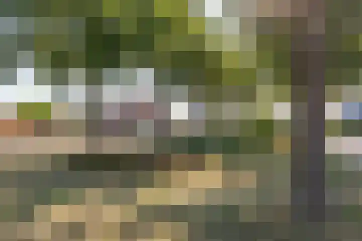Hunneschansallee 51 Duiven thumbnail 61