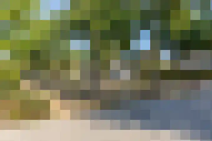 Hunneschansallee 51 Duiven thumbnail 64