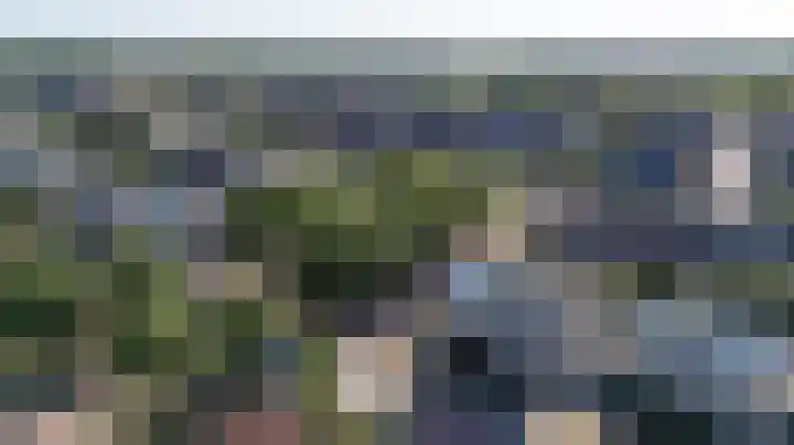 Hunneschansallee 51 Duiven thumbnail 69