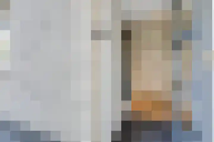Hunneschansallee 51 Duiven thumbnail 7