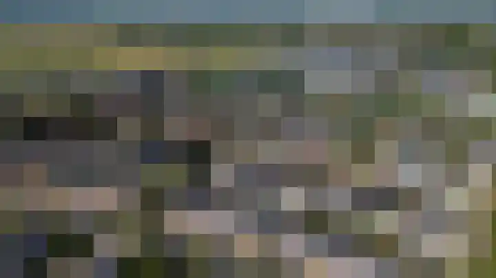 Hunneschansallee 51 Duiven thumbnail 71