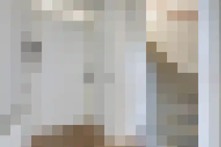 Hunneschansallee 51 Duiven thumbnail 8