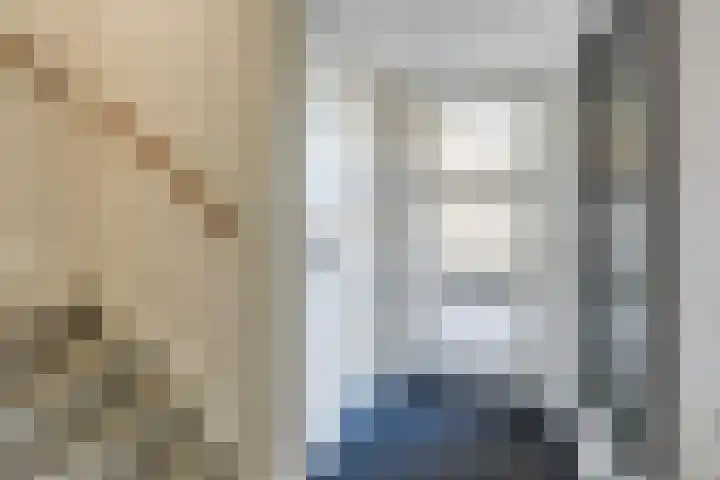 Hunneschansallee 51 Duiven thumbnail 9