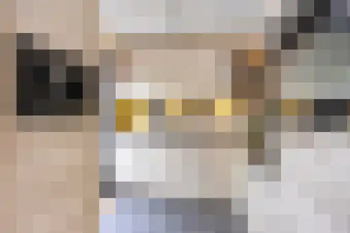 Hunneschansallee 75 Duiven thumbnail 19