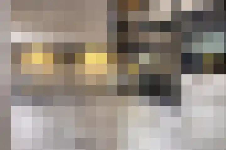 Hunneschansallee 75 Duiven thumbnail 20