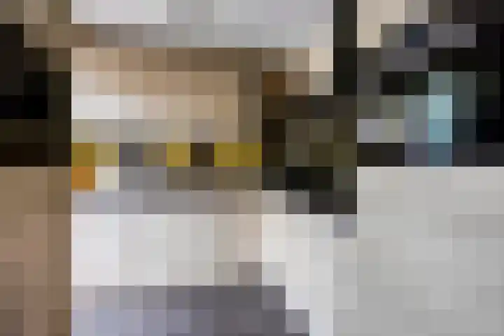 Hunneschansallee 75 Duiven thumbnail 21