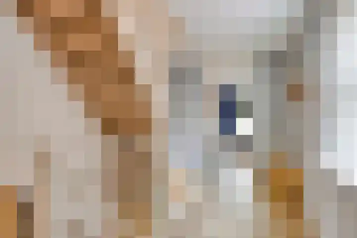 Hunneschansallee 75 Duiven thumbnail 23