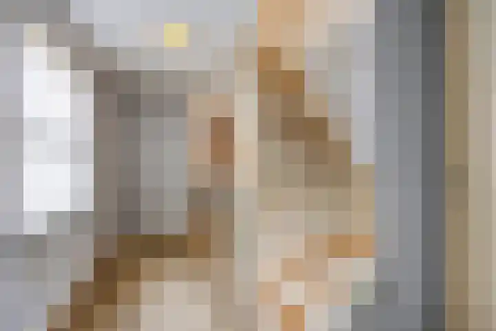 Hunneschansallee 75 Duiven thumbnail 24