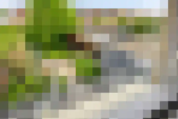 Hunneschansallee 75 Duiven thumbnail 27