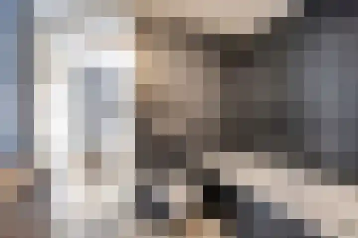 Hunneschansallee 75 Duiven thumbnail 29