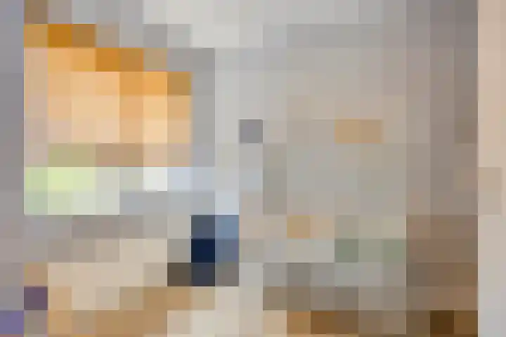 Hunneschansallee 75 Duiven thumbnail 30