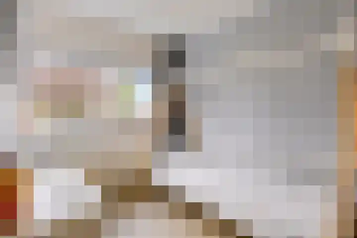 Hunneschansallee 75 Duiven thumbnail 31