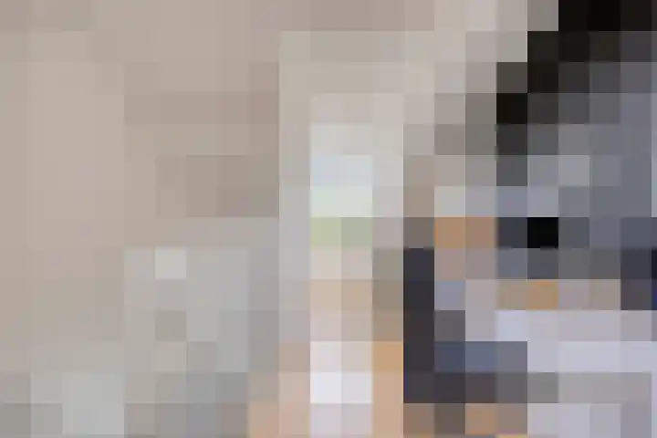 Hunneschansallee 75 Duiven thumbnail 33