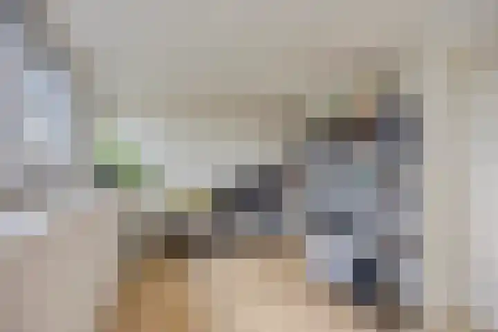 Hunneschansallee 75 Duiven thumbnail 35