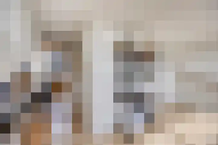Hunneschansallee 75 Duiven thumbnail 36