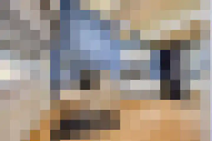 Hunneschansallee 75 Duiven thumbnail 38