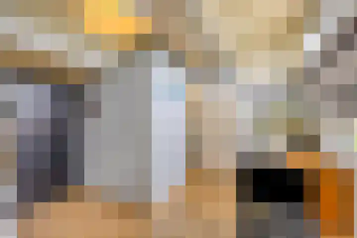 Hunneschansallee 75 Duiven thumbnail 39