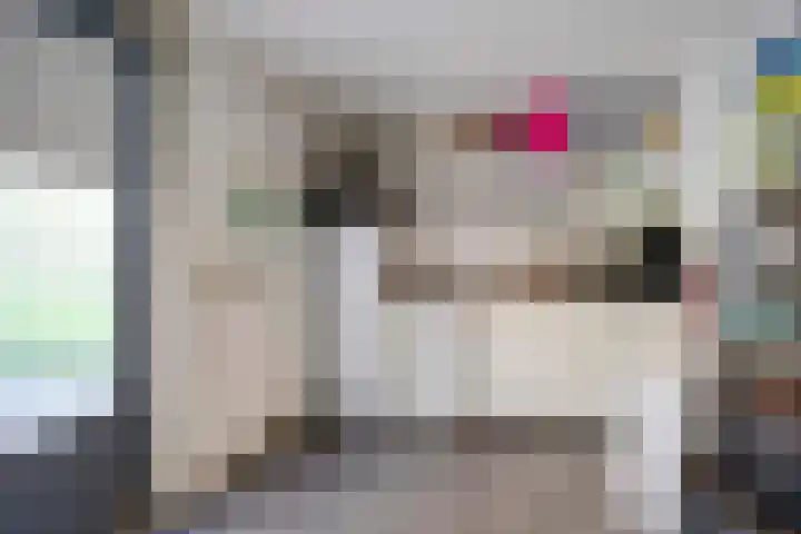 Hunneschansallee 75 Duiven thumbnail 40