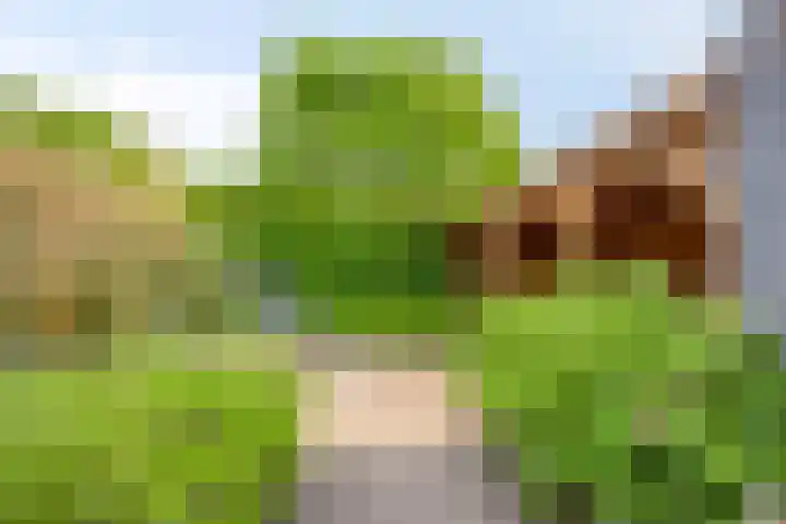 Hunneschansallee 75 Duiven thumbnail 44