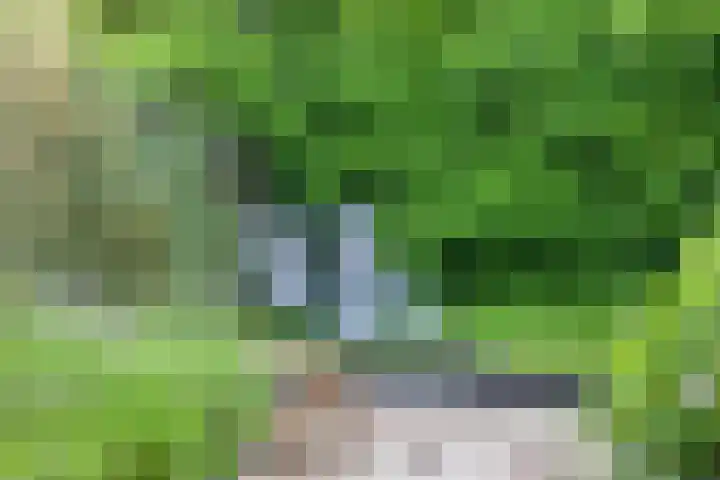 Hunneschansallee 75 Duiven thumbnail 45