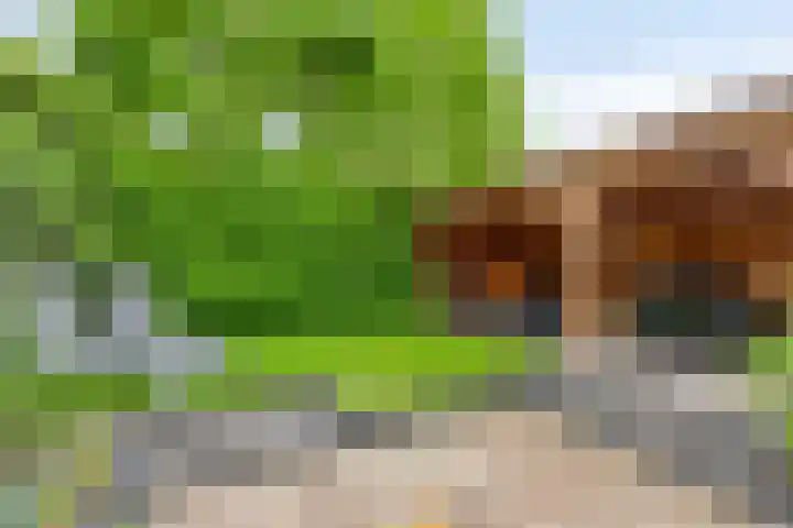 Hunneschansallee 75 Duiven thumbnail 46