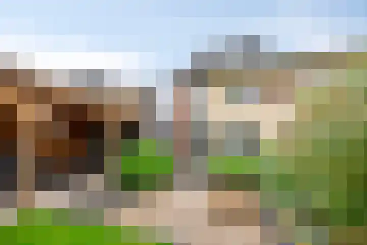 Hunneschansallee 75 Duiven thumbnail 48