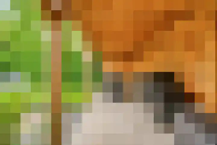 Hunneschansallee 75 Duiven thumbnail 50