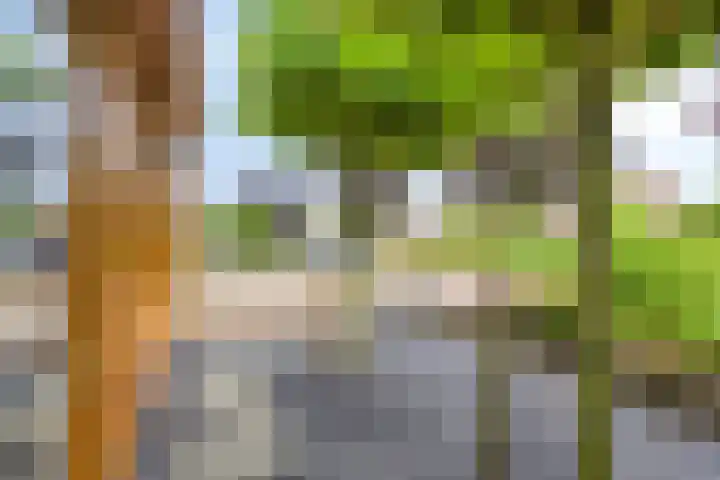Hunneschansallee 75 Duiven thumbnail 54