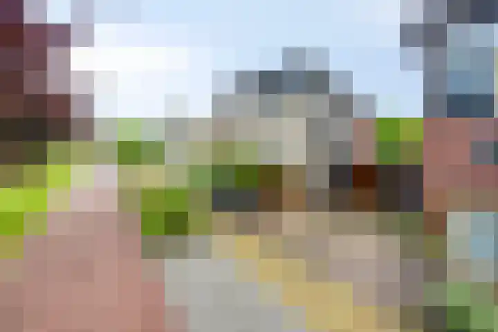 Hunneschansallee 75 Duiven thumbnail 56