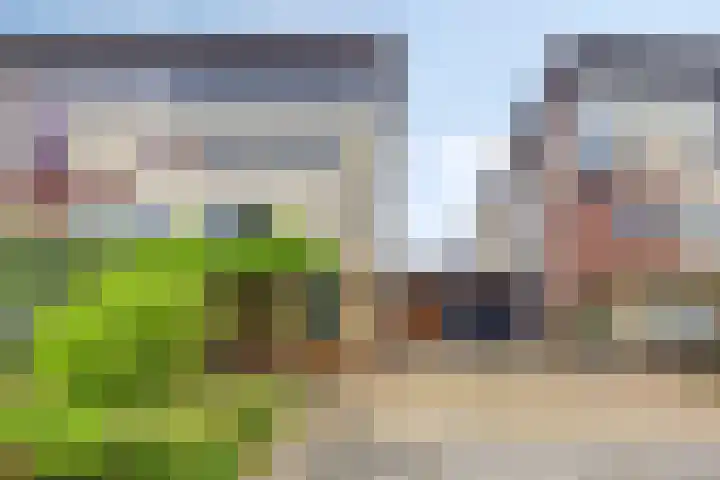 Hunneschansallee 75 Duiven thumbnail 57