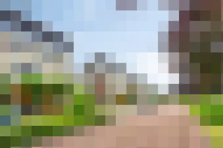Hunneschansallee 75 Duiven thumbnail 58