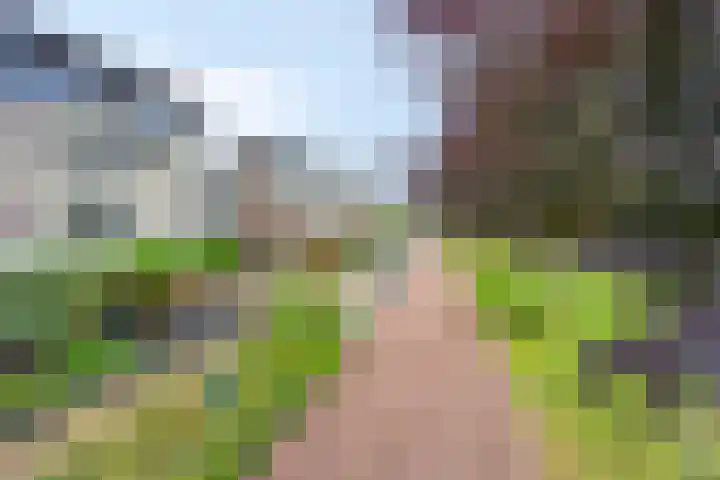 Hunneschansallee 75 Duiven thumbnail 59