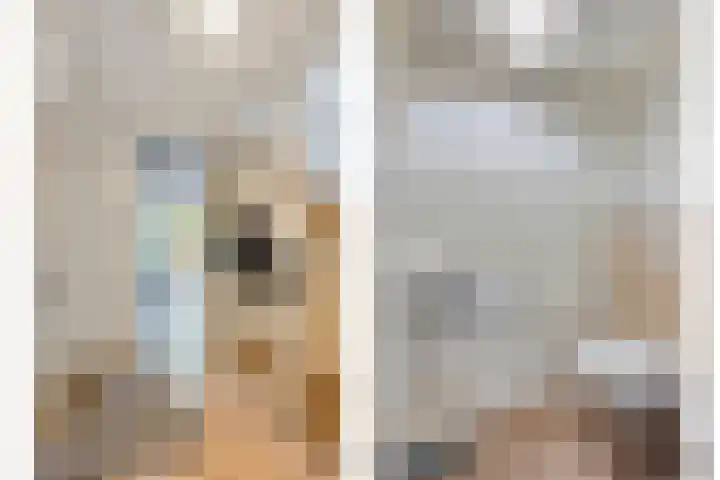 Hunneschansallee 75 Duiven thumbnail 6