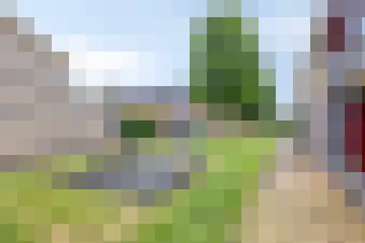 Hunneschansallee 75 Duiven thumbnail 60