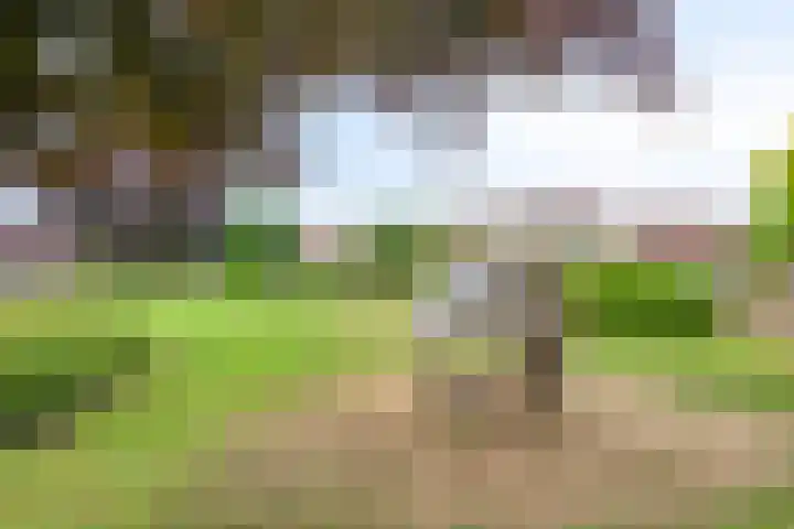 Hunneschansallee 75 Duiven thumbnail 61