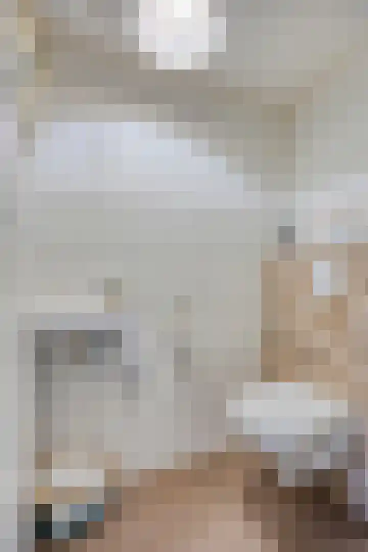 Hunneschansallee 75 Duiven thumbnail 7