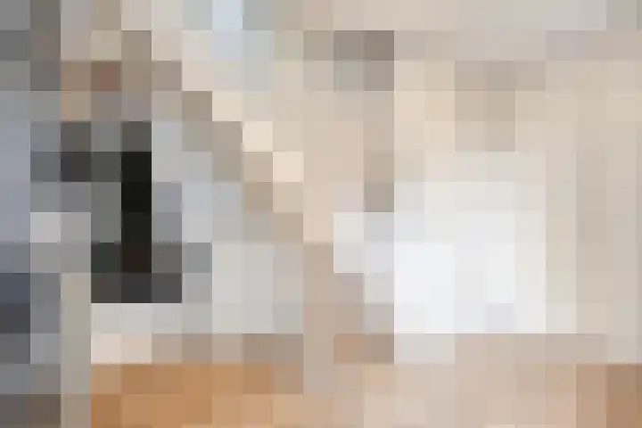Hunneschansallee 75 Duiven thumbnail 9
