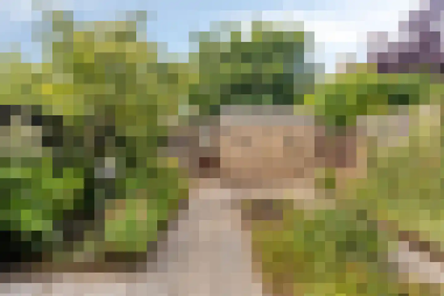Hunneveldweg 61 Zevenaar thumbnail 37