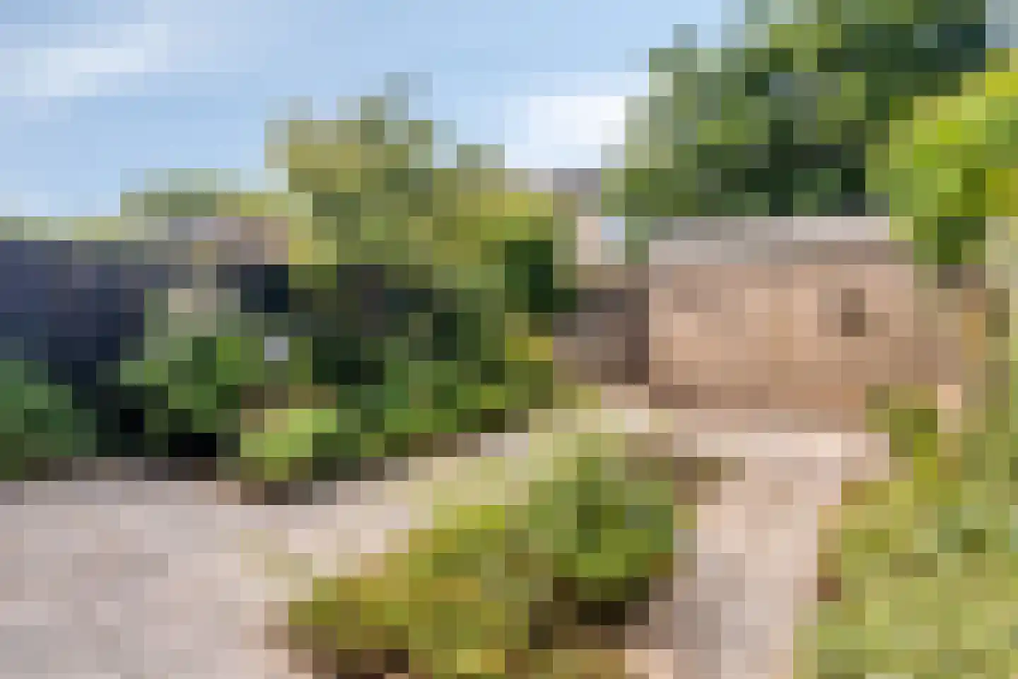 Hunneveldweg 61 Zevenaar thumbnail 38