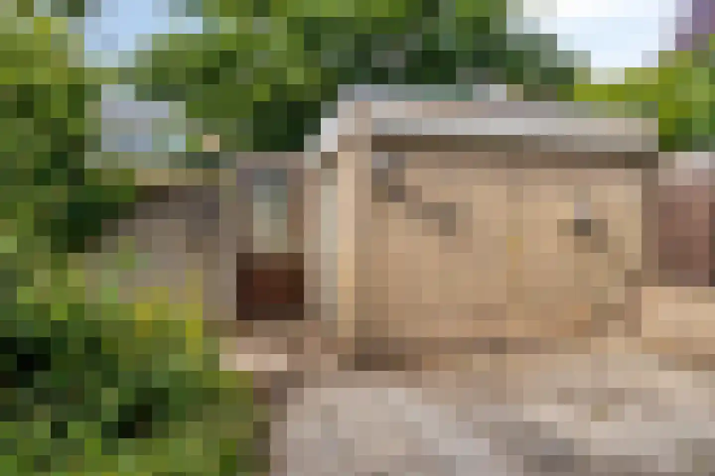 Hunneveldweg 61 Zevenaar thumbnail 39