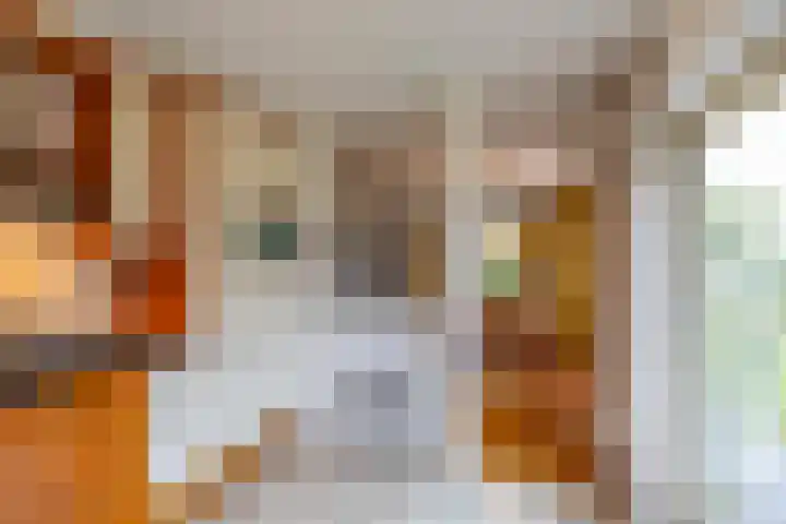 Hunse 1 B Eenrum thumbnail 16