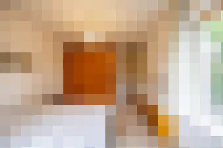 Hunse 1 B Eenrum thumbnail 19