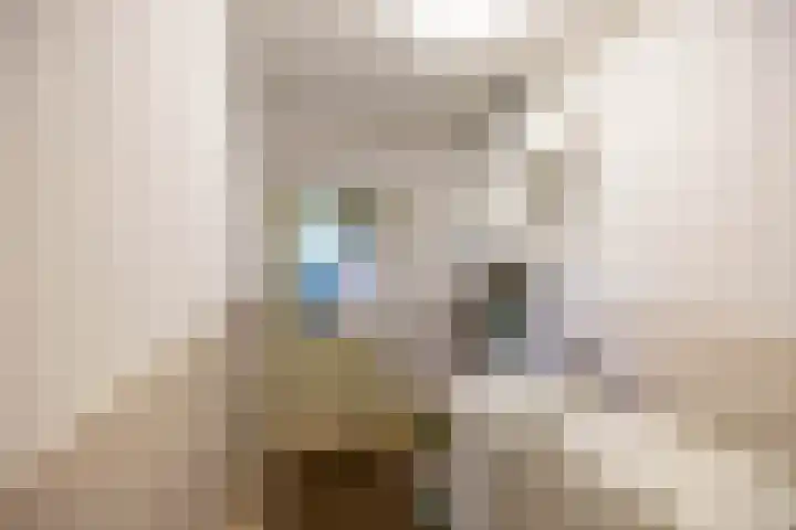 Hunse 1 B Eenrum thumbnail 20