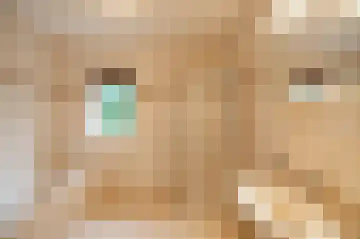 Hunse 1 B Eenrum thumbnail 22