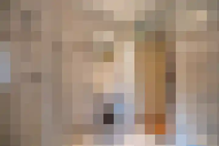 Hunse 1 B Eenrum thumbnail 24