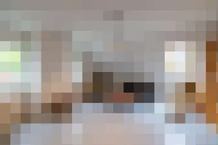 Hunse 1 B Eenrum thumbnail 28