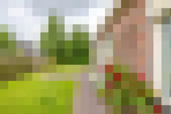 Hunse 1 B Eenrum thumbnail 4