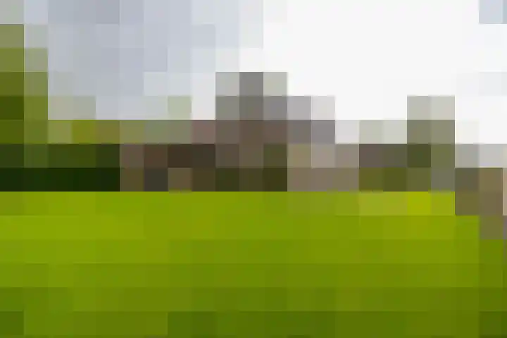Hunse 1 B Eenrum thumbnail 5