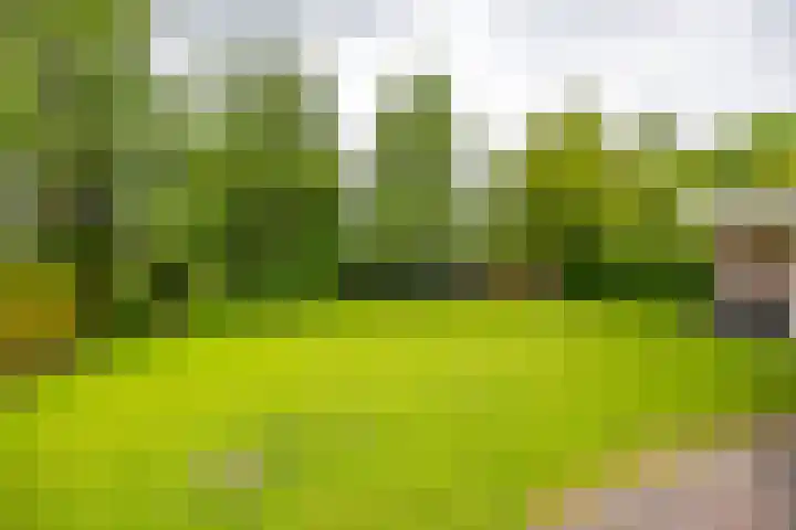 Hunse 1 B Eenrum thumbnail 6