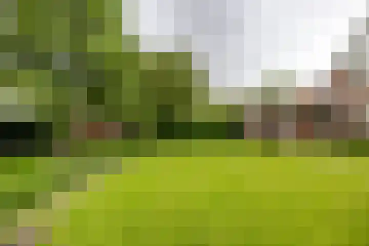 Hunse 1 B Eenrum thumbnail 7